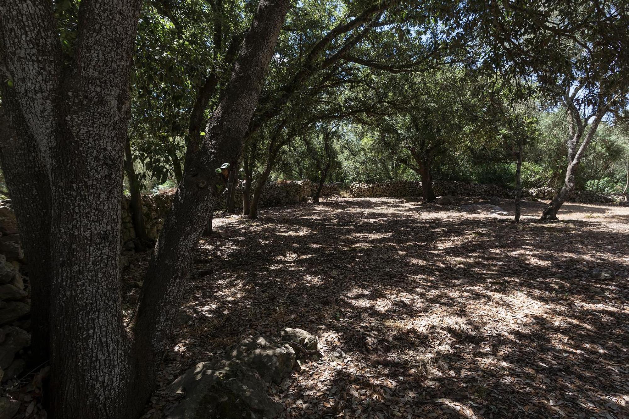 Agroturismo Santa Mariana Alaior Dış mekan fotoğraf